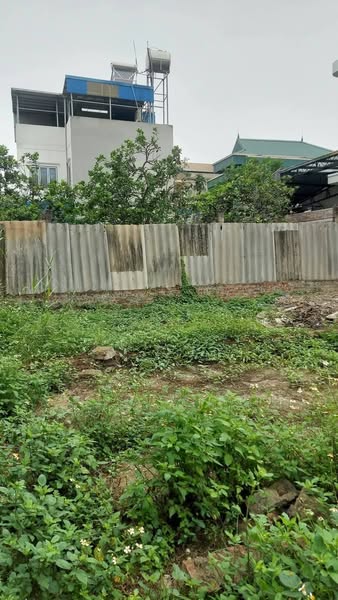 Rẻ và đẹp như này không mua thì mua ở đâu đất vạn 3 124m giá cho ae đầu tư khu vực đân cư than