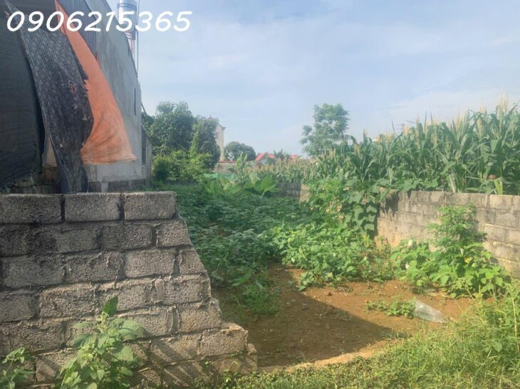 Tôi cần bán lô đất 130.5m2, Văn Sơn, Hoàng Văn Thụ, dt thực tế 136m2, ngõ thông, ô tô