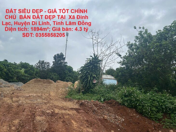 ĐẤT SIÊU ĐẸP – GIÁ TỐT CHÍNH CHỦ BÁN ĐẤT ĐẸP TẠI Xã Đinh Lạc, DI LINH – LÂM ĐỒNG