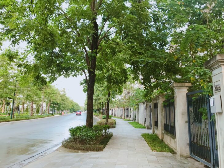 BÁN BT MẶT HỒ K7 CIPUTRA. ĐẤT RỘNG 334M2, SAU NHÀ NHÌN HỒ VÀ CÔNG VIÊN 65HA. GIÁ 167 TỶ