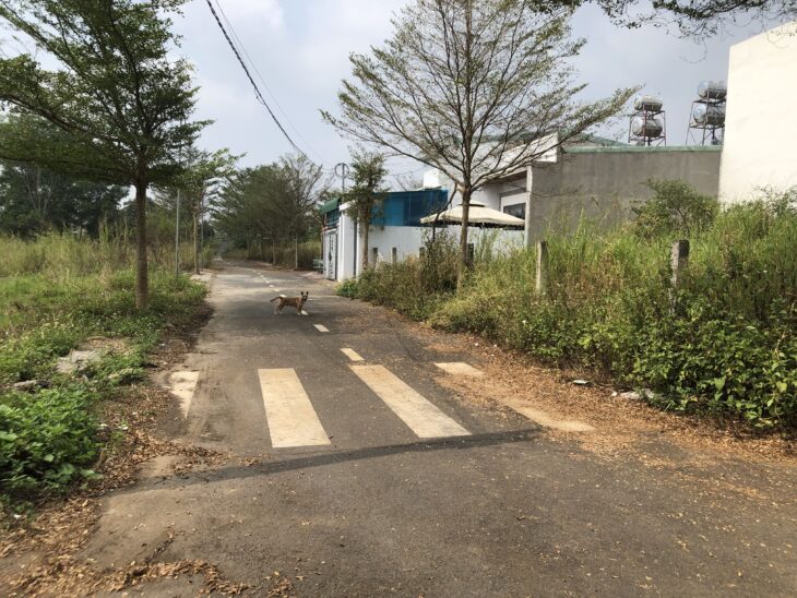 Bán 118m2 đất ở 1 sẹc Nguyễn Hoàng, xã Trảng Bom, tỉnh Đồng Nai