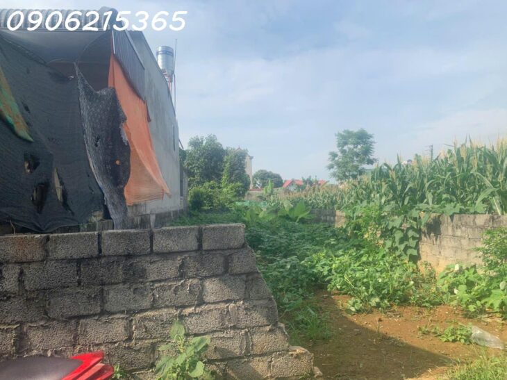 Tôi cần bán lô đất 130.5m2, Văn Sơn, Hoàng Văn Thụ, dt thực tế 136m2, ngõ thông, ô tô