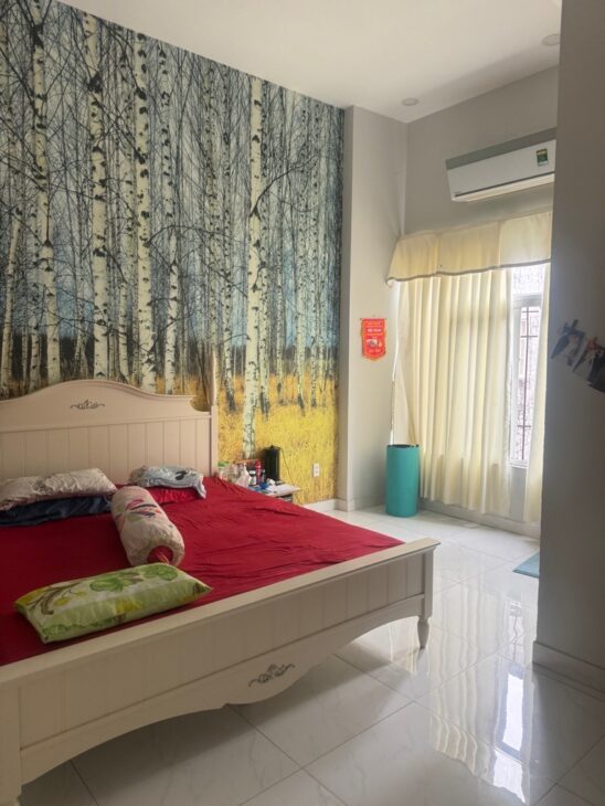 HOT, KẸT TIỀN BÁN GẤP MẶT TIỀN MAI HẮC ĐẾ [P15 Q8] DT 150M2 (5 X30M) 3T, 4PN, 5WC CHỈ 11.5 TỶ