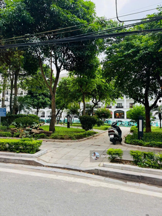 Bán nhà riêng Trần Thái Tông Cầu Giấy – 78m2 MT 8m – Lô Góc Ô Tô KDVP Gần Công Viên Cầu Giấy