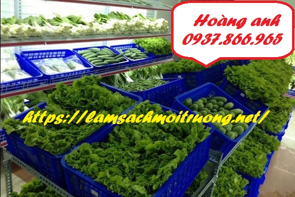 Tìm nhà phân phối sọt nhựa, đơn vị sản xuất sọt, sóng nhựa hở, sọt nhựa