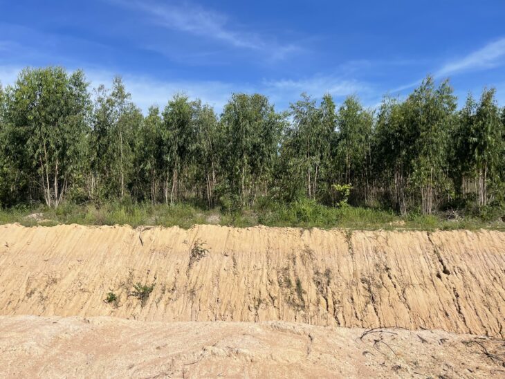 Bán 1.8 hecta đất Tân Xuân – Hàm Tân đường rộng 10m giá ngộp 145 triệu/ sào