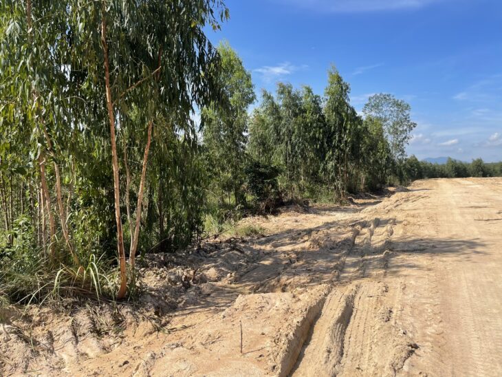 Bán 1.8 hecta đất Tân Xuân – Hàm Tân đường rộng 10m giá ngộp 145 triệu/ sào