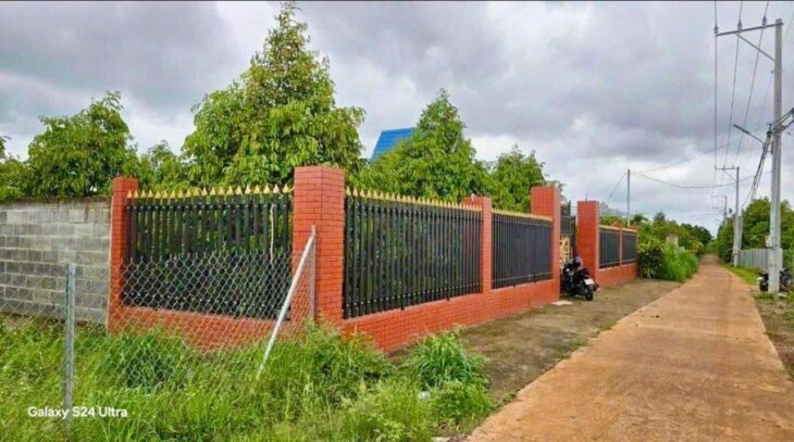 TÔI CÀN BÁN GẤP VƯỜN TRÁI CÂY CẢ NHÀ CÔ ÚT SANG MỸ ĐỊNH CỰ NÊN K AI CHĂM