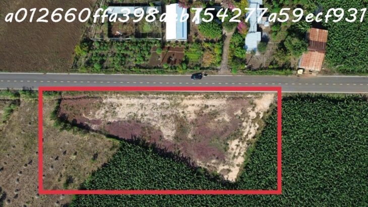 Đất nền mặt tiền DT992, Long Tân, Đất Đỏ – Giá chỉ 7tr/m²!