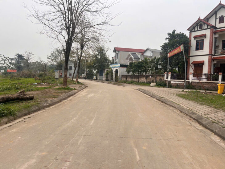 103m đấu giá khoang bèo xuân mai