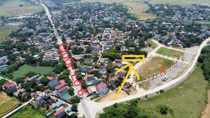 103m đấu giá khoang bèo xuân mai