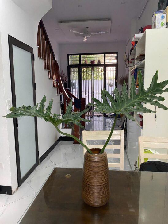 Hữu Lê – Hữu Hòa Nhà 40m² x 5 tầng – Ra mặt phố 10m – Nhà mới cực phẩm – Giá chỉ từ 4,7 tỷ –