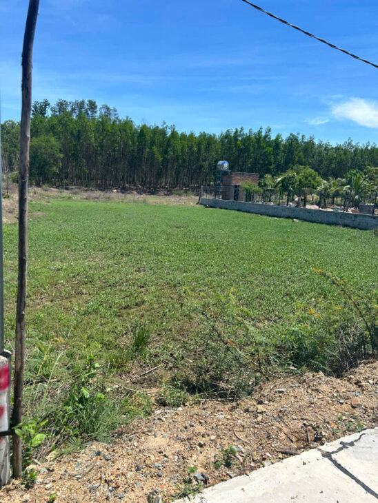 750 triệu 1600m2 đất QH đất ở Tân Xuân – Hàm Tân giá ngộp sổ riêng