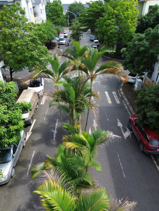 SIÊU PHẨM liền kề Hữu Hưng Nam Từ Liêm – 2 Thoáng – Kinh Doanh Đỉnh – 21.5 Tỷ lh 0817606560