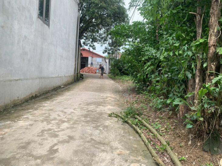 cc cần bán 791m đất thổ cư lẫn vườn giá có vài triệu /1m đường ô tô thông