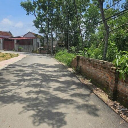 Bán đất đầu tư KD xây biệt thự Thôn 4 Phú Cát full thổ 686m giá rẻ nhỉnh 20tr