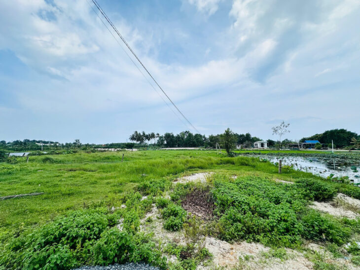 Bán gấp 772m2 đất Tân Phước, thị xã LaGi giá ngộp 750 triệu
