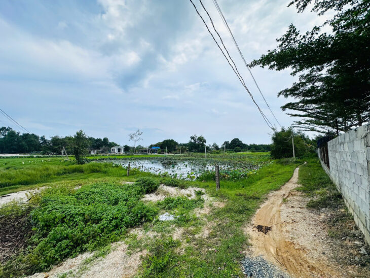 Bán gấp 772m2 đất Tân Phước, thị xã LaGi giá ngộp 750 triệu