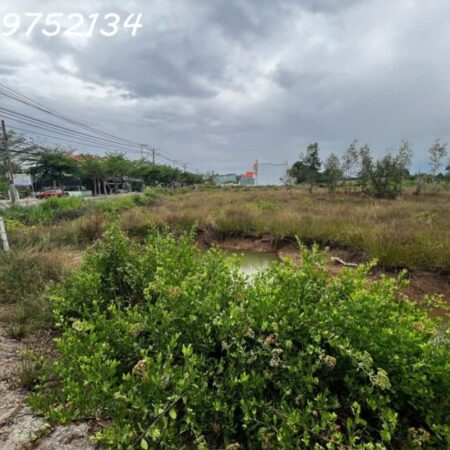 Mặt tiền đường Nguyễn Văn Tạo, Nhà Bè. Tổng diện tích gần 2 ha. Giá bán 30 tr/m2 Mặt tiền đường Nguyễn Văn Tạo, Nhà Bè. Tổng diện tích gần 2 ha. Giá bán 30 tr/m2