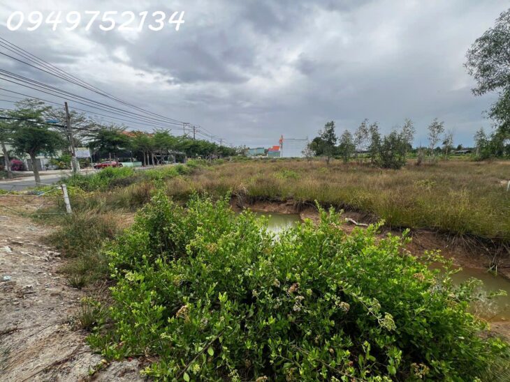 Mặt tiền đường Nguyễn Văn Tạo, Nhà Bè. Tổng diện tích gần 2 ha. Giá bán 30 tr/m2