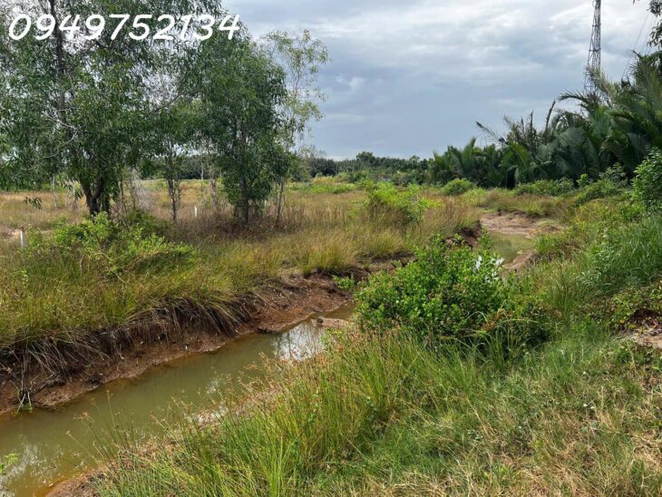 Mặt tiền đường Nguyễn Văn Tạo, Nhà Bè. Tổng diện tích gần 2 ha. Giá bán 30 tr/m2