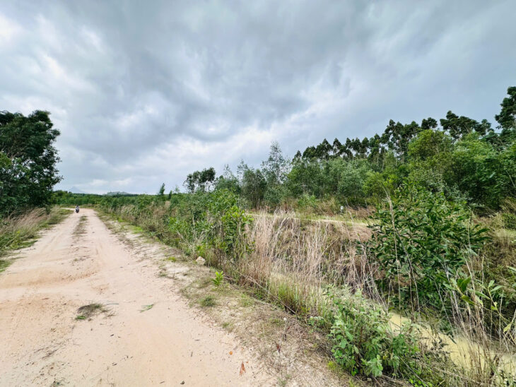 Bán 1006m2 đất Tân Bình, thị xã LaGi chỉ 700 triệu, sổ riêng, đường ô tô
