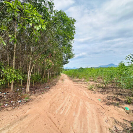 Bán gấp 3.2 hecta đất Tân Tiến, thị xã Lagi chỉ 275k/m2 gần Hồ Núi Đất đường 6m