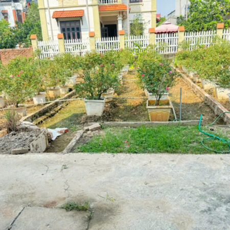 Bán đất Thôn Trung Hậu Đoài, Tiền Phong, Mê Linh – Sổ đỏ chính chủ, vị trí đắc địa Bán đất Thôn Trung Hậu Đoài, Tiền Phong, Mê Linh – Sổ đỏ chính chủ, vị trí đắc địa