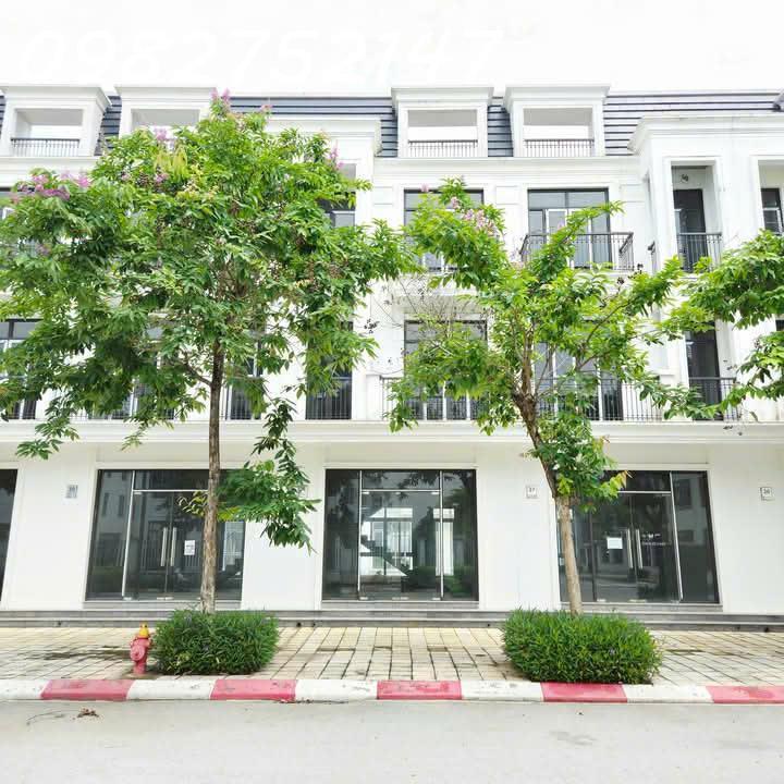 03 lô đất đấu giá, tại điểm X1, Thôn Văn Lôi, Xã Tam Đồng, Huyện Mê Linh, TP Hà Nội