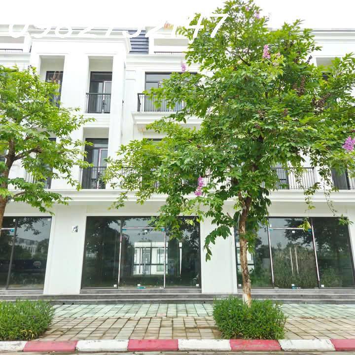 03 lô đất đấu giá, tại điểm X1, Thôn Văn Lôi, Xã Tam Đồng, Huyện Mê Linh, TP Hà Nội