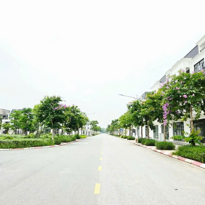03 lô đất đấu giá, tại điểm X1, Thôn Văn Lôi, Xã Tam Đồng, Huyện Mê Linh, TP Hà Nội