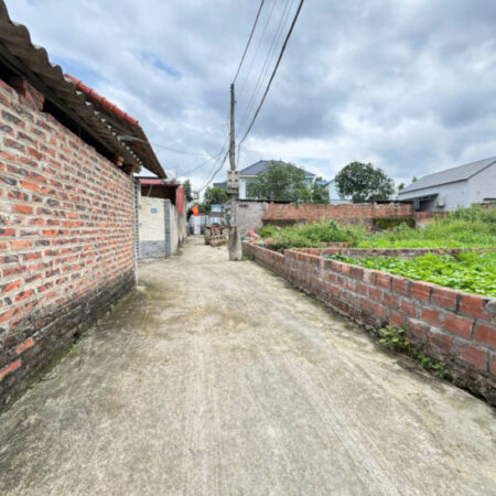 Bán 62m Đất Thôn Đức Hậu, Thanh Lâm, Mê Linh – Vị Trí Đắc Địa, Tiềm Năng Vượt Trội