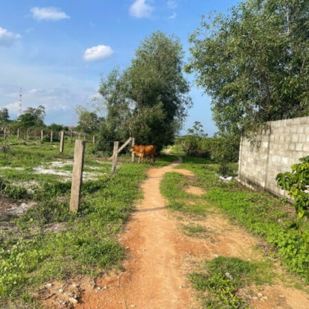 Bán 1000m2 đất thổ cư Tân Tiến, LaGi giá ngộp 1.3 tỷ gần Biển