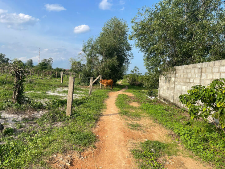 Bán 1000m2 đất thổ cư Tân Tiến, LaGi giá ngộp 1.3 tỷ gần Biển