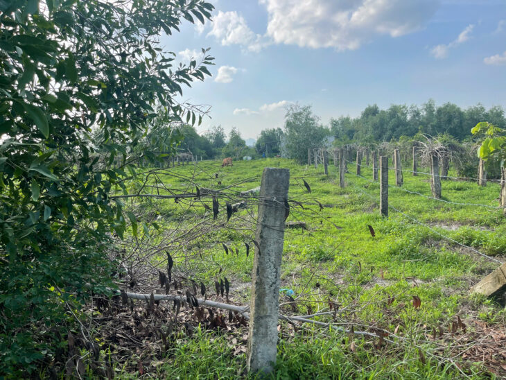 Bán 1000m2 đất thổ cư Tân Tiến, LaGi giá ngộp 1.3 tỷ gần Biển