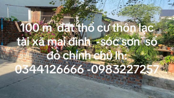 VỊ TRÍ ĐẸP – GIÁ TỐT- Chính Chủ Cần Bán Nhanh Đất Tại Lạc Tài, Mai Đình, Sóc Sơn, Hà Nội VỊ TRÍ ĐẸP – GIÁ TỐT- Chính Chủ Cần Bán Nhanh Đất Tại Lạc Tài, Mai Đình, Sóc Sơn, Hà Nội