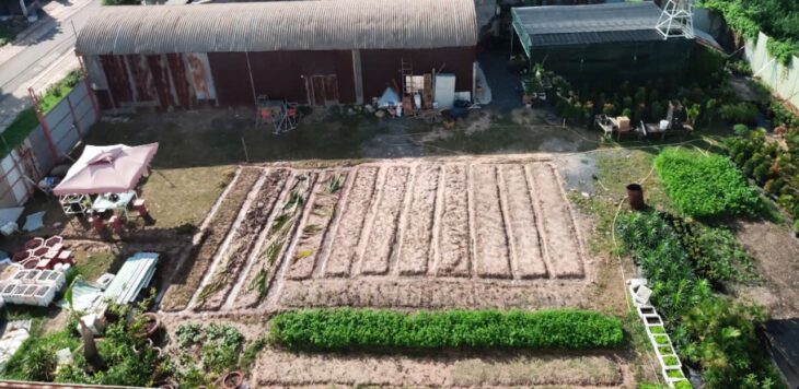 LÔ ĐẤT VỊ TRÍ ĐẸP – GIÁ TỐT Cần Bán Nhanh lô đất tại huyện Củ Chi TPHCM LÔ ĐẤT VỊ TRÍ ĐẸP – GIÁ TỐT Cần Bán Nhanh lô đất tại huyện Củ Chi TPHCM