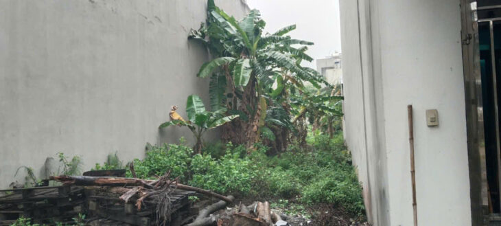 CƠ HỘI ĐẦU TƯ – CHÍNH CHỦ BÁN 2 MẢNH ĐẤT ĐẸP TẠI PHƯỜNG MỎ CHÈ, TP SÔNG CÔNG, THÁI NGUYÊN