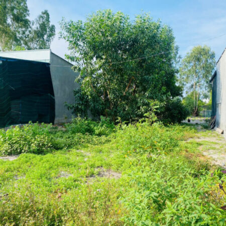 Bán 107m2 đất Hẻm Nguyễn Tri Phương – Tân Bình – LaGi giá rẻ 650 triệu