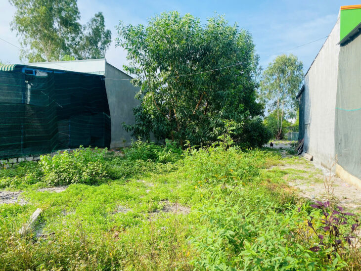 Bán 107m2 đất Hẻm Nguyễn Tri Phương – Tân Bình – LaGi giá rẻ 650 triệu