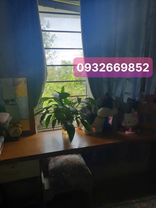 GẤP GẤP CẦN BÁN NHANH 1 CĂN DUY NHẤT VỪA ĐẸP VỪA MÁT chung cư Ehome2, Phường Phước Long B,Thủ