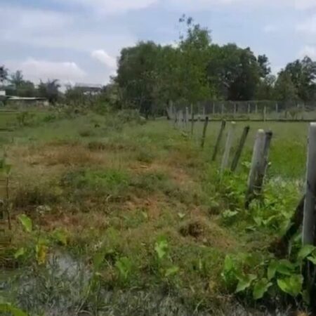 Đất đẹp- giá tốt chính chủ cần bán nhanh lô đất vị trí tại huyện Gò Dầu, tỉnh Tây Ninh Đất đẹp- giá tốt chính chủ cần bán nhanh lô đất vị trí tại huyện Gò Dầu, tỉnh Tây Ninh