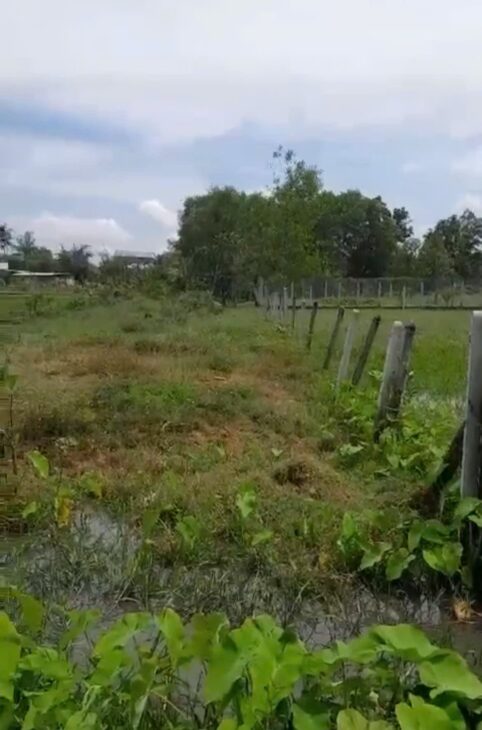 Đất đẹp- giá tốt chính chủ cần bán nhanh lô đất vị trí tại huyện Gò Dầu, tỉnh Tây Ninh