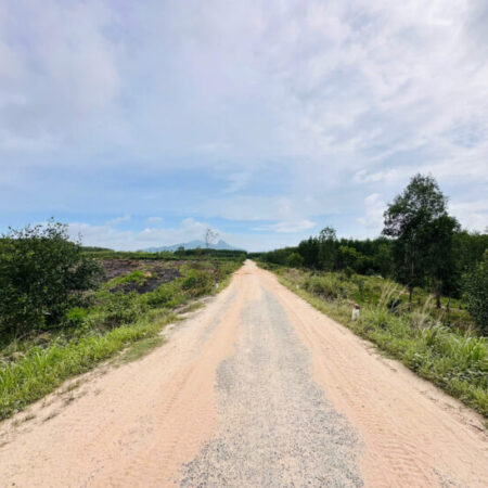 Bán 2.65 hecta đất Đường Lê Đức Thọ – TX LaGi giá rẻ 300tr/ sào