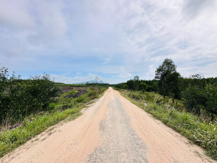 Bán 2.65 hecta đất Đường Lê Đức Thọ – TX LaGi giá rẻ 300tr/ sào