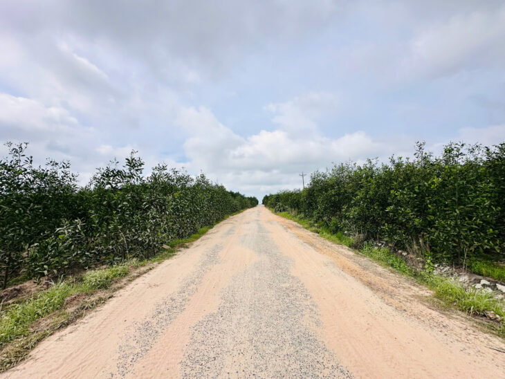 Bán 2.65 hecta đất Đường Lê Đức Thọ – TX LaGi giá rẻ 300tr/ sào