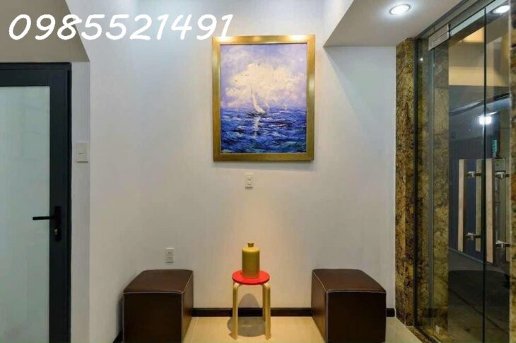 SIÊU PHẨM BIỆT THỰ 4 TẦNG 5M, QUẬN 1 CHỈ NHỈNH 5 ĐỒNG