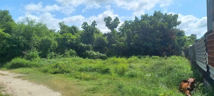 LÔ ĐẤT VỊ TRÍ ĐẸP- ĐẦU TƯ LÀ SINH LỜI Chính chủ Cần bán nhanh lô đất tại huyện Củ Chi, TPHCM