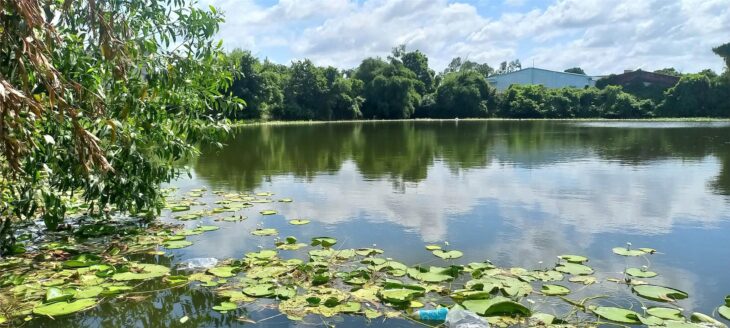 LÔ ĐẤT VỊ TRÍ ĐẸP- ĐẦU TƯ LÀ SINH LỜI Chính chủ Cần bán nhanh lô đất tại huyện Củ Chi, TPHCM