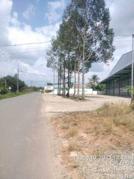 GIÁ TỐT – CHÍNH CHỦ Cần Bán Nhanh Căn Nhà Mặt Tiền 15m QL 600A Huyện Tân Phú, Tỉnh Đồng Nai